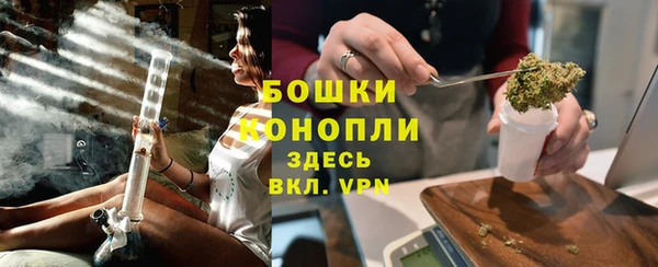 PSILOCYBIN Балахна