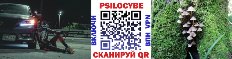Псилоцибиновые грибы мухоморы  omg ссылки  Петухово  цена  